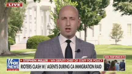 Stephen Miller