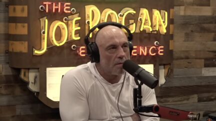 Joe Rogan Urges Texas Progressive to Run For President