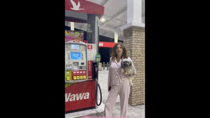 Nancy MaceMocked Over Latest Videos