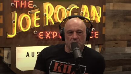 Joe Rogan