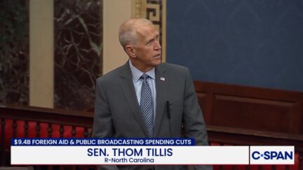 Thom Tillis