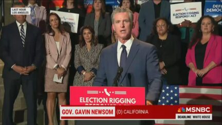 California Gov. Gavin Newsom (D)