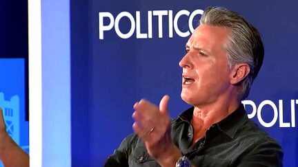 'Hey! Sean Hannity!' Newsom Calls Out Fox News Hosts Over Trump Support