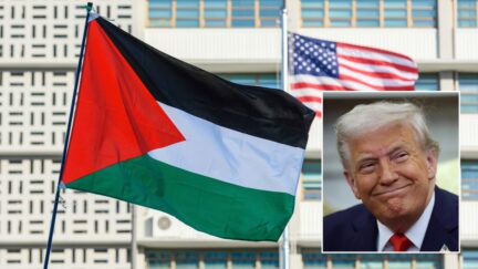 Palestine