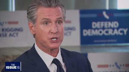 Gavin Newsom
