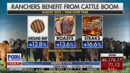 Stuart Varney Trump tariffs segment