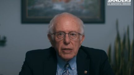 Bernie Sanders