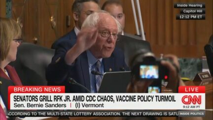 Bernie Sanders