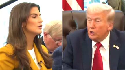 CNN's Kaitlan Collins Confronts Trump To His Face On Rants Torpedoing Case Against Comey
