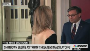 Madeleine Dean confronts Mike Johnson