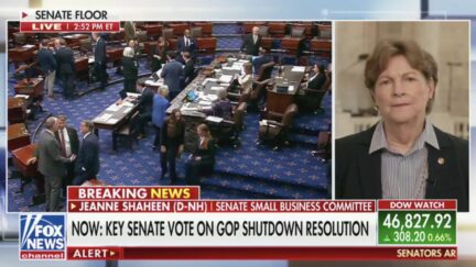 Jeanne Shaheen