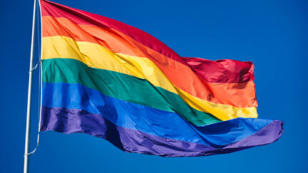 Pride flag, public domain photo via Flickr