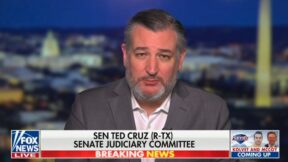 Ted Cruz on Fox News