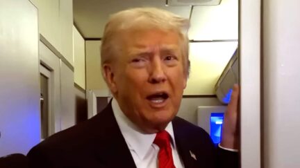 Trump Drops Whopper In Morning Barrage — Claims HIGHEST POLL NUMBERS OF MY 'POLITICAL CAREER'