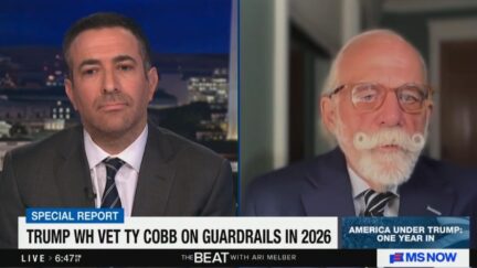Ari Melber and Ty Cobb