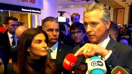 CNN’s Kaitlan Collins And Gavin Newsom Call Out Trump Gaffes From 'Jaw-Dropping' Davos Speech