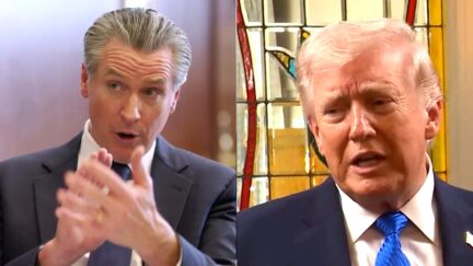 Gavin Newsom Lashes Out at 'Flailing Punch-Drunk' Trump