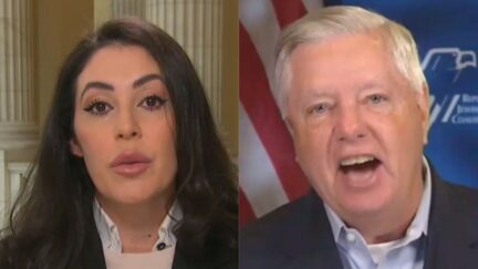 Anna Paulina Luna, Lindsey Graham