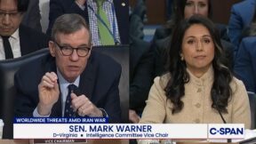 Mark Warner and Tulsi Gabbard