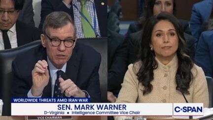 Mark Warner and Tulsi Gabbard