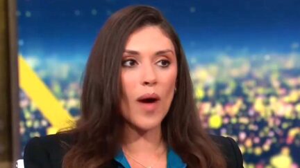 Tara Palmeri Tells CNN Her 'Core MAGA' Family Spent Weekend Trashing Trump Over War, Inflation