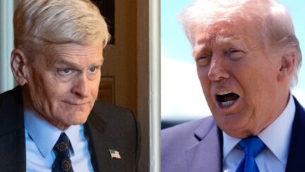 Bill Cassidy, Donald Trump