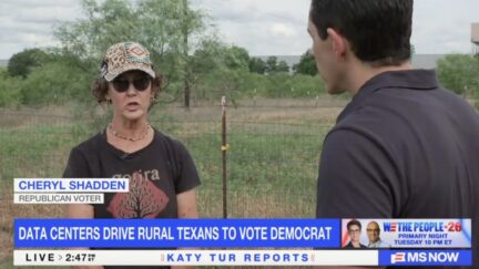 Trump voter
