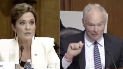 Kari Lake/Tim Kaine