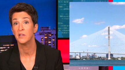 Maddow Savages 'Profoundly And Really Shamelessly Corrupt' Trump Over Blocked Bridge 'This is Why We Can't Have Nice Things'