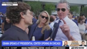 Gavin Newsom
