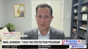 Sam Stein