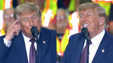 Trump Blurts 'No Women in the Crowd, Which is Nice' In Bonkers Rant on WH UFC Fight Night