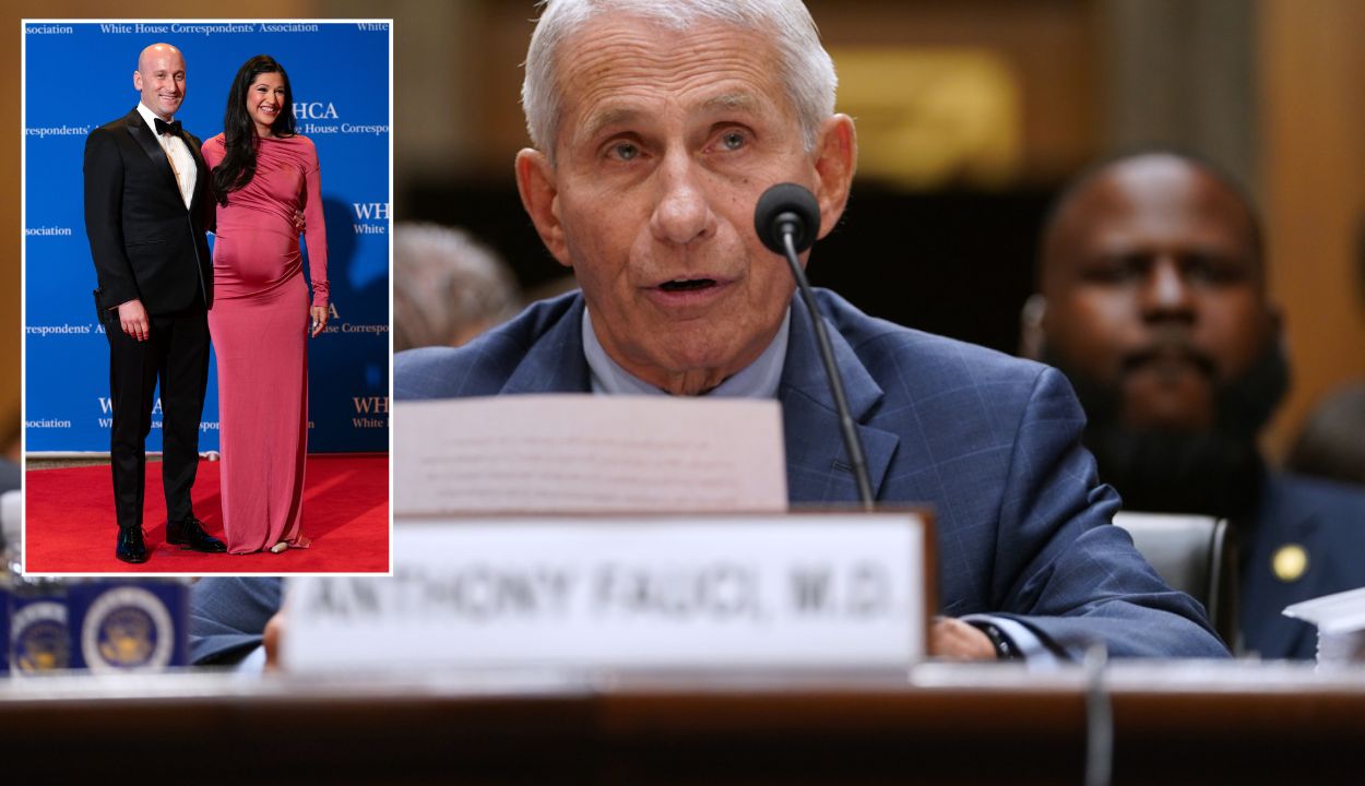 composite; inset stephen and katie miller on the red carpet; fauci testifying