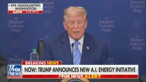 President Donald Trump