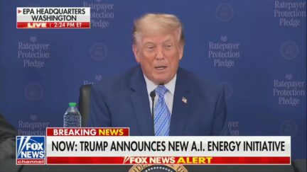 President Donald Trump