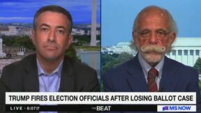 Ari Melber and Ty Cobb