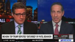 Chris Hayes and Jamie Raskin