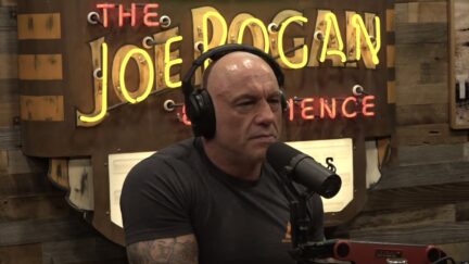 Joe Rogan