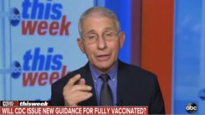 Dr. Anthony Fauci during an interview on ABC's This Week
