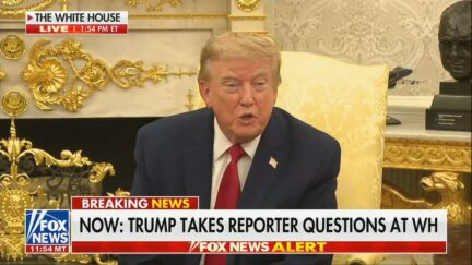 President Donald Trump