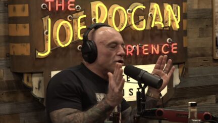 Joe Rogan