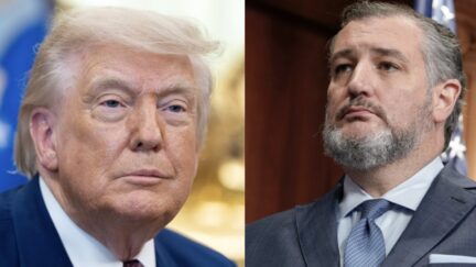 Trump Ted Cruz