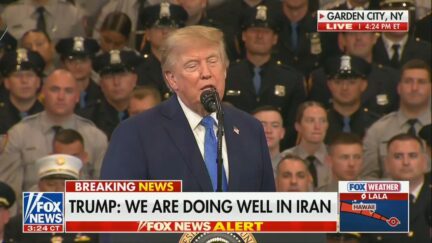 President Donald Trump