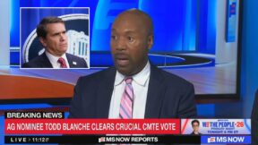 MS NOW legal analyst Paul Butler argues Senators Cornyn and Tillis 