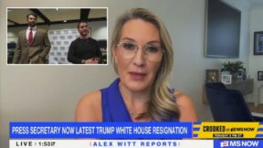 Dem strategist Meghan Hays says it is probably too late for Abdul El-Sayed to convince Michigan voters he disagrees with 