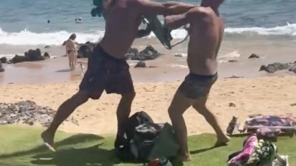men brawling on hawaii beach