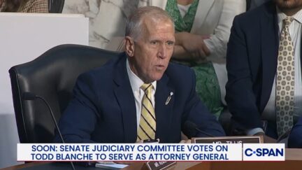 Thom Tillis