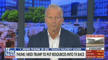John Thune