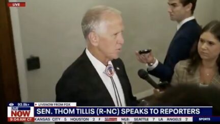 Thom Tillis