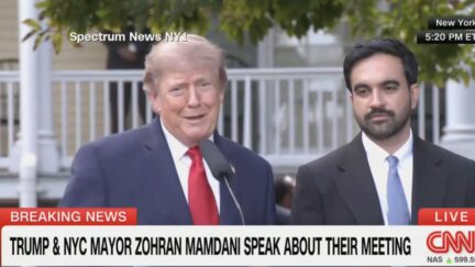 Trump Mamdani